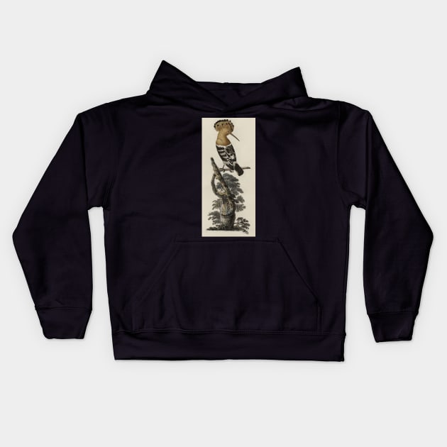 Hoopoe bird Kids Hoodie by High Class Arts